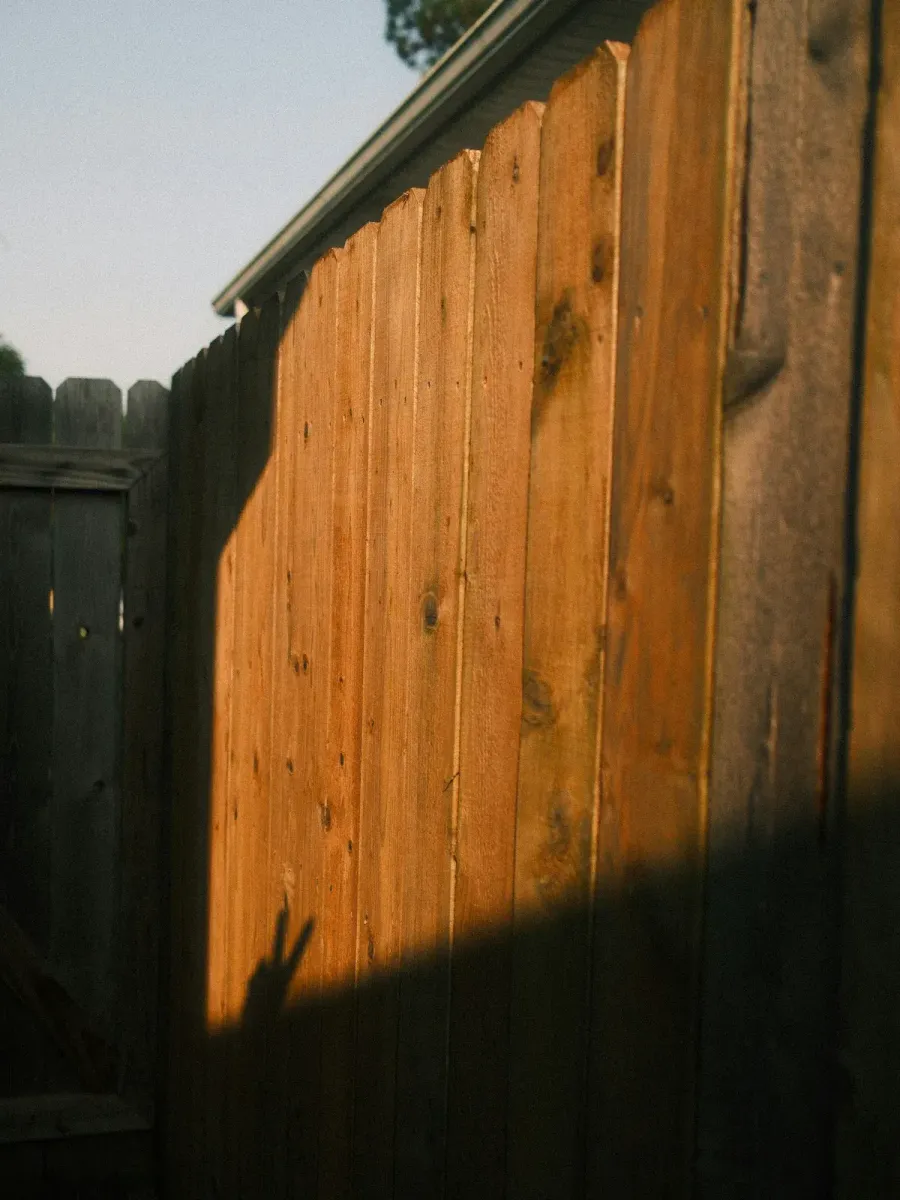 Cedar dog-ear privacy fence boards in late-afternoon light beside a house